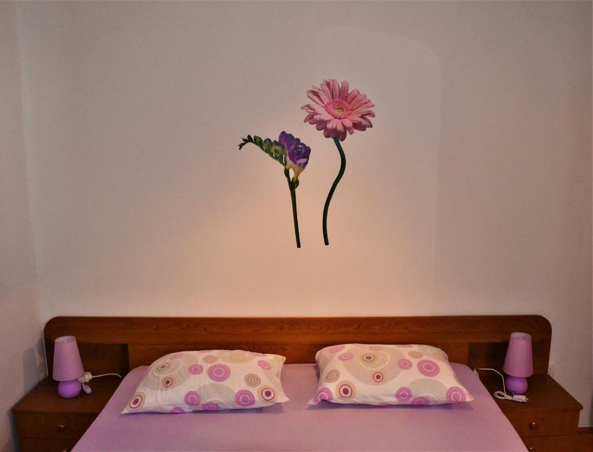 Apartman Rosa Pirovac Bagian luar foto